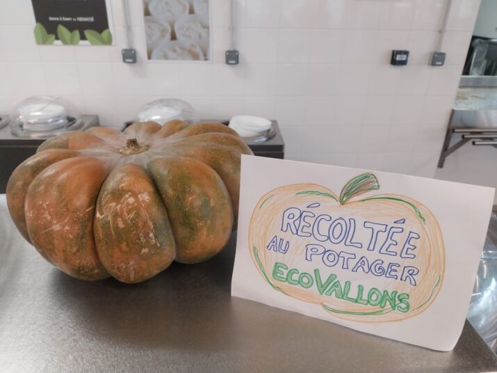 courge ecovallons